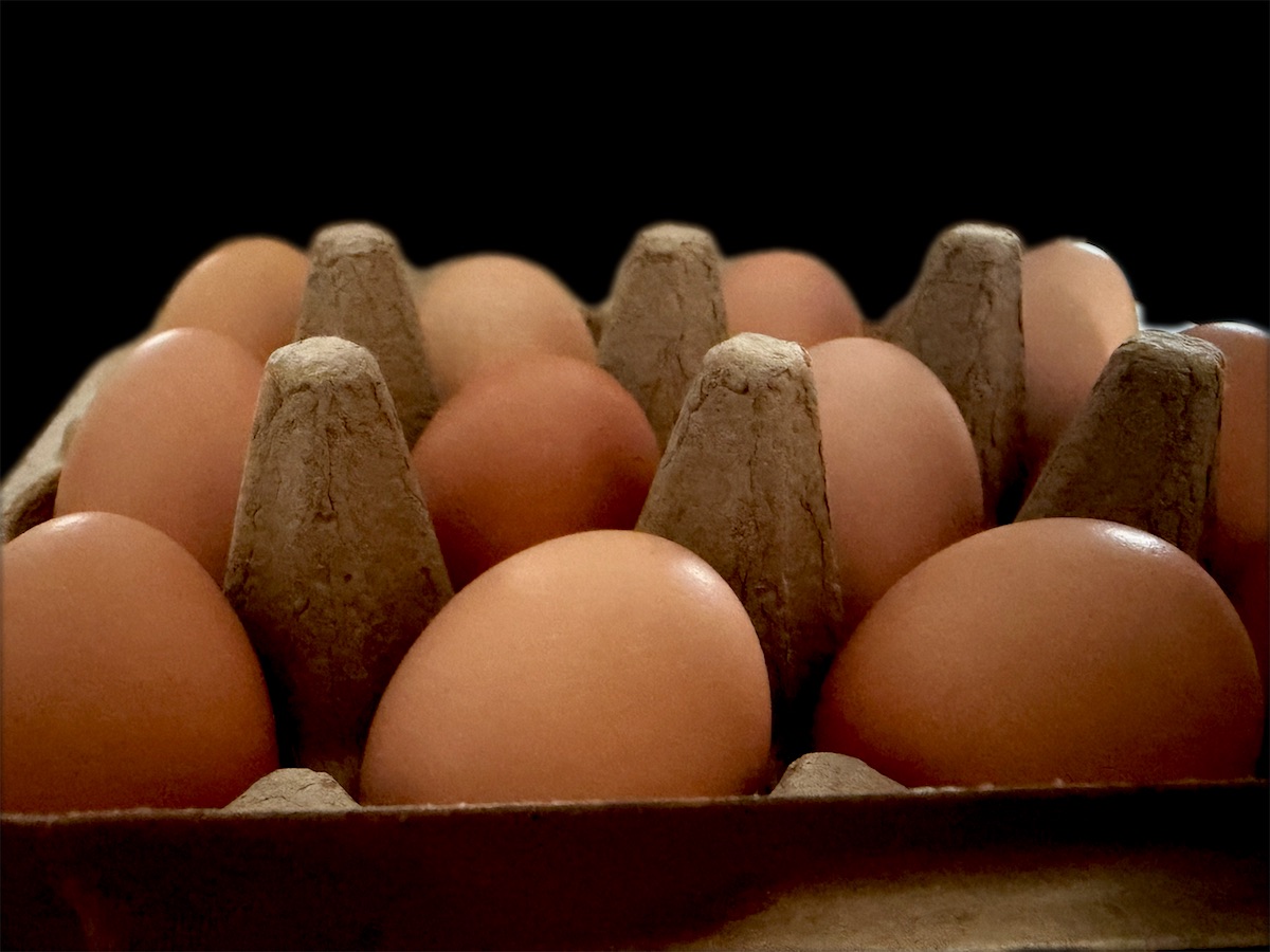 Brown eggs from the farm in a paper carton, lit against black